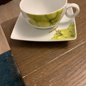 Cup & Saucer Vista Alegre Portugal Paris Grapes Design